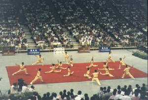 wushu-1995team4.jpg