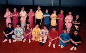wushu-1996nationalteam.jpg