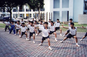 wushu-2003sch17.jpg