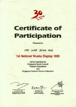 wushudisplay1995.jpg