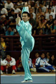 yongkaiseagames2005.jpg